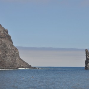 Guadalupe Island 2010