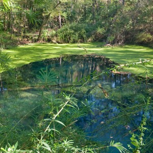 Wakulla Sites 11-6-10