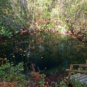 Wakulla 12-4 & 12-5-10