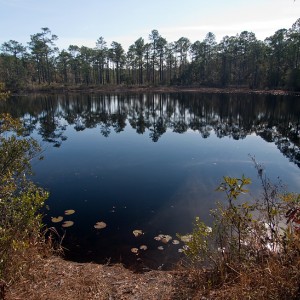 Wakulla 1-16-11