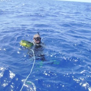 Spearfishing. FREEDIVE!