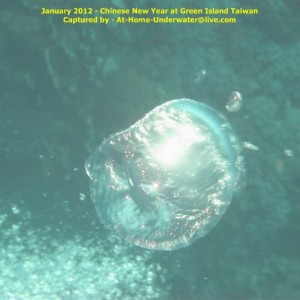 Green Island Taiwan - January 2012