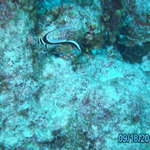 Cozumel Sep 2012