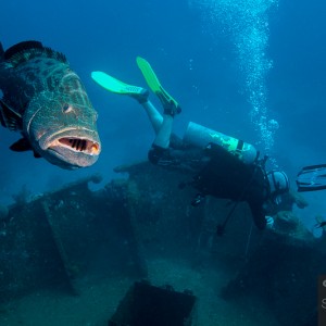 Roatan, December 2012