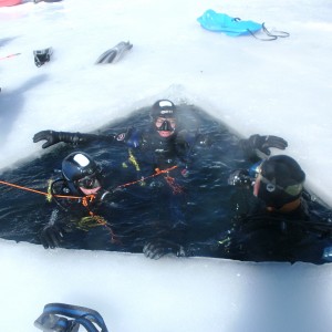 Ice diving!!