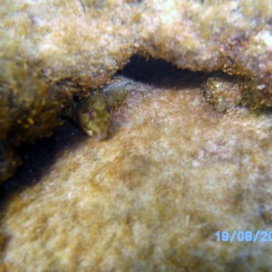 Mediteranean Sea