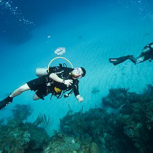 Divemaster & Instructor Internships