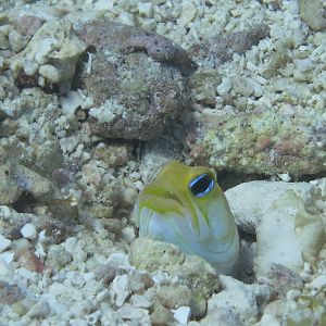 Key Largo July 2017