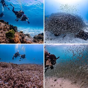 Thailand Scuba Diving