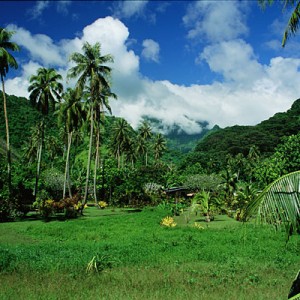 Lush Valley, Tahiti