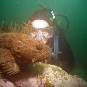 Sea Raven & Troy