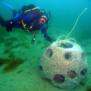 Greg & Reef Pod