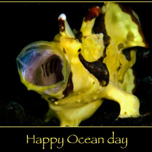 World Ocean Day 08 June