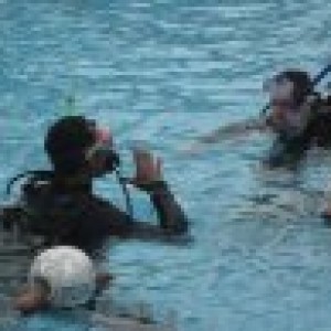 Pool dive with Johnny