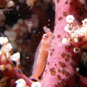 P6110050