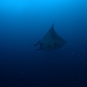 P6120006
