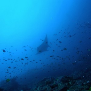 P6120013