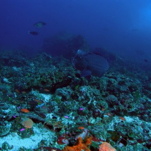 P6120030