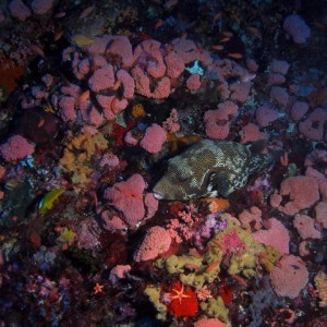 P6130006