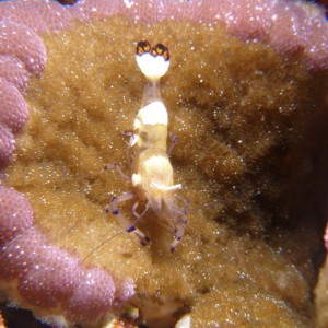 P6140097