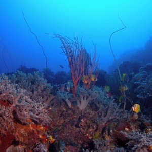 P6130094