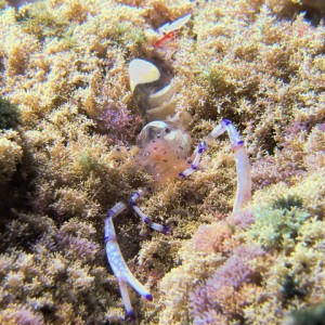 P6130162