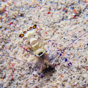 P6130167