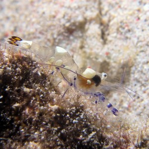 P6130172
