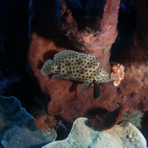 P6140001