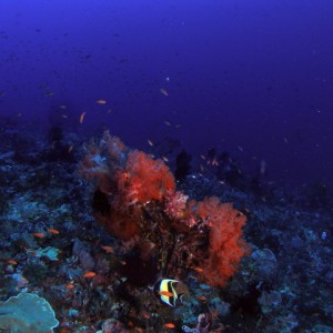 P6140011
