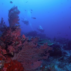 P6140023