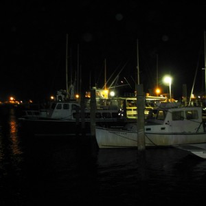 Dive boats at dock, June 28th 2008