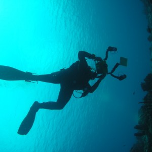 Diver Filming