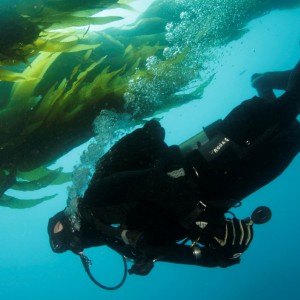 Catalina Dive Park