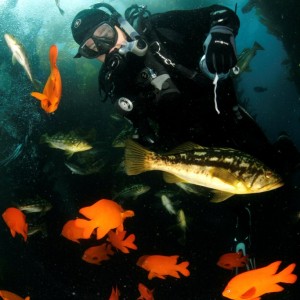 Catalina Dive Park