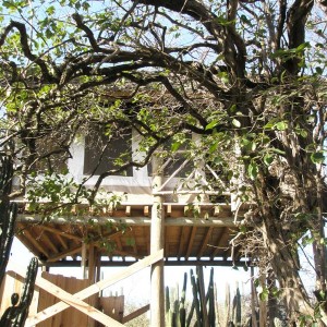 Lodge Kura Hulanda "Tree House"