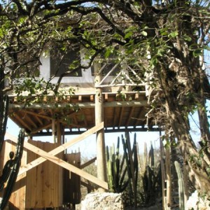 Lodge Kura Hulanda "Tree House"