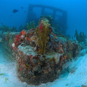 Wreck Of The Belzona Tug