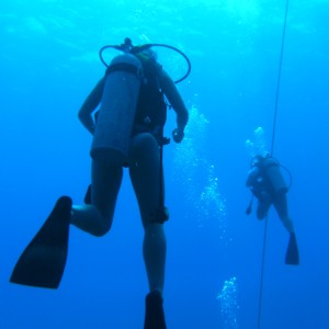diver in Grand Cayman