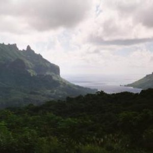 Moorea_Belvedere_Opanohu_Bay