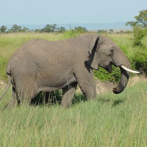 Africa_024