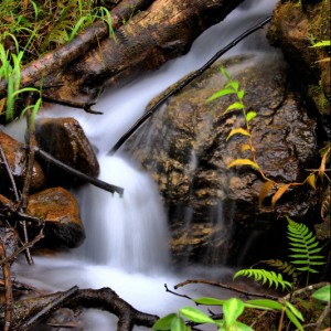 Bvumba Waterfall