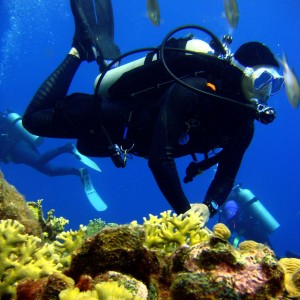 Bonaire_2008_722