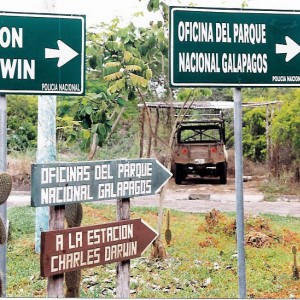 Street in front of SCUBA Iguana