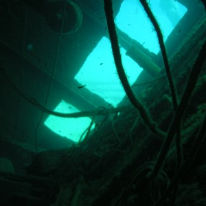 Hilma_Hooker_Dive_Site_5_