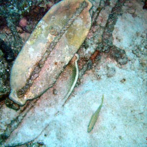 bonaire_scuba_039