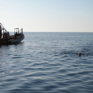 (Illegal) Early morning swim off Rib Two outside the exclusion zone