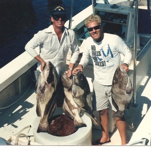 black groupers