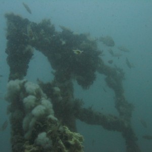 Block Island Pinnacles and the Wreck of the Idene