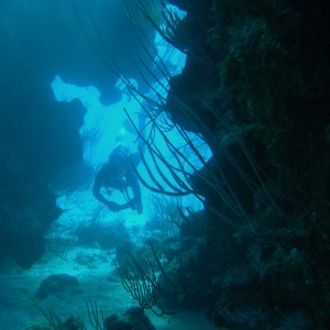 Diver entering the swim through
